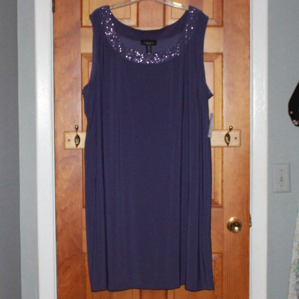 R&M Richards Glitter Trim Formal Tank Dress